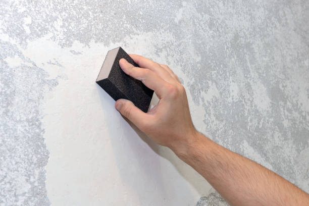 Best Black Mold Removal  in Novato, CA