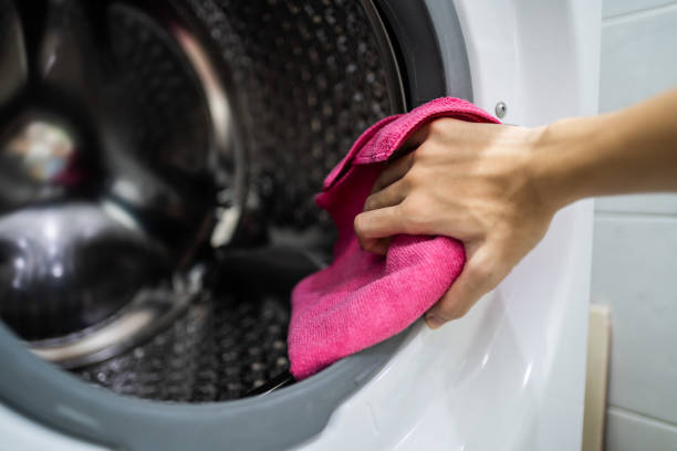 Best Mold Prevention Services  in Novato, CA