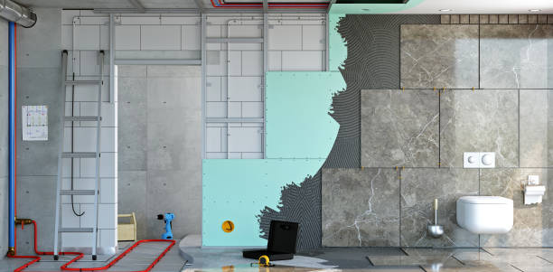 Best Post-Construction Mold Inspection  in Novato, CA