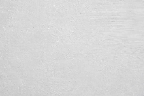 Best Emergency Mold Remediation  in Novato, CA
