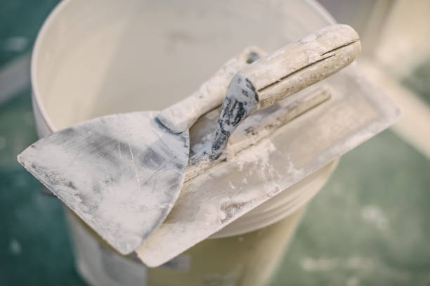 Best Mold Documentation for Insurance Claims  in Novato, CA